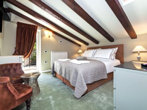 Room Viola